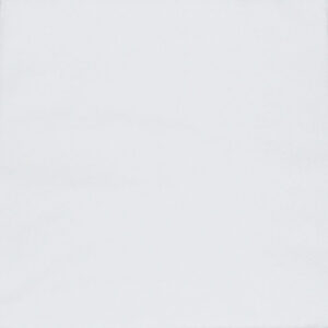 Servietter 2-lags 33x33 cm, hvid, Duni